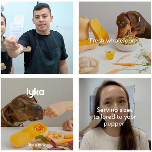 267179781 430049165470089 1783244272475333687 n 2 | GUDJOB